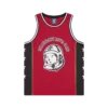Astro mesh basketball vest Astro mesh basketball vest