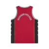 Astro mesh basketball vest Astro mesh basketball vest
