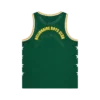 Astro mesh basketball vest Astro mesh basketball vest