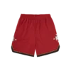 Astro star mesh basketball shorts Astro star mesh basketball shorts