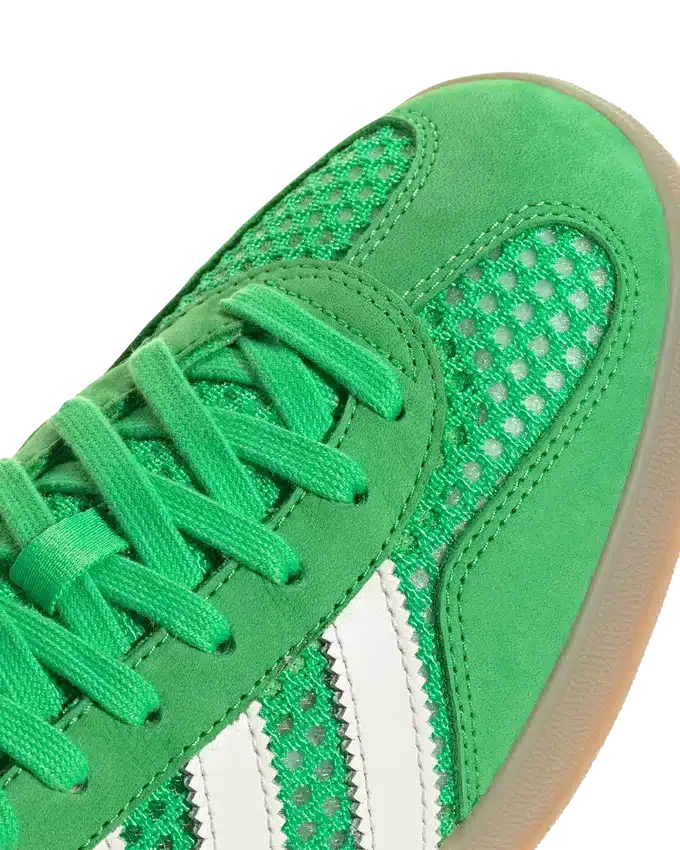 Gazelle indoor Gazelle indoor