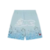 Gradient snakeskin running dog swim shorts Gradient snakeskin running dog swim shorts