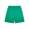Gradient snakeskin running dog swim shorts Gradient snakeskin running dog swim shorts