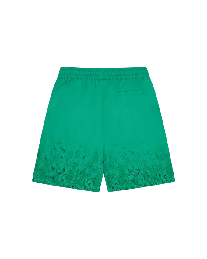 Gradient snakeskin running dog swim shorts Gradient snakeskin running dog swim shorts